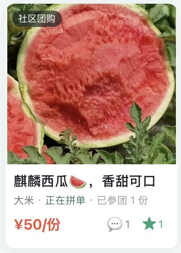 社区团购：麒麟西瓜