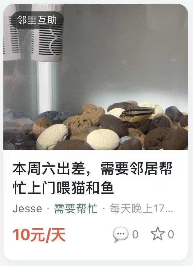 邻里互助：出差期间帮忙上门喂猫和鱼